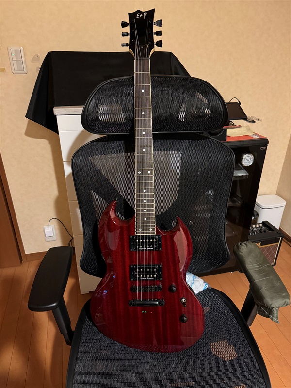 ESP VIPER CHの画像